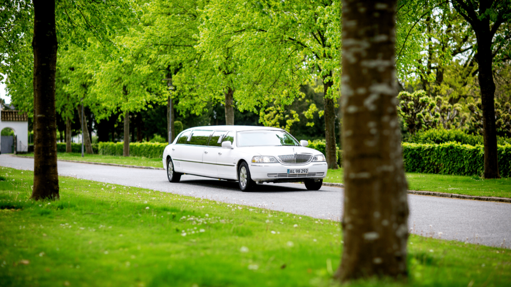 Limousine mieten in Dresden